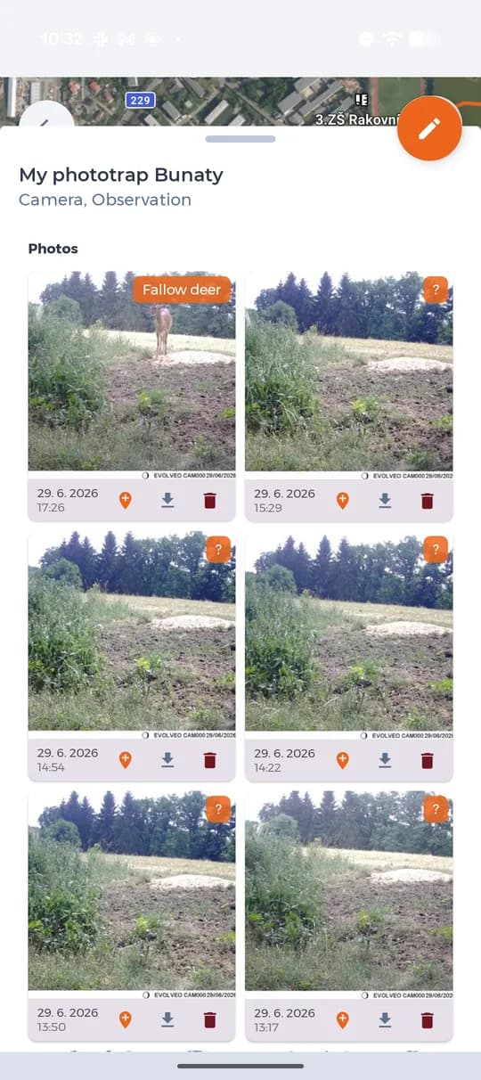 Photos from the camera with the recognised species.
