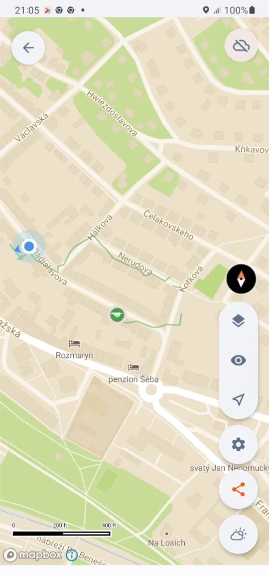 A dog's track next to your own position.