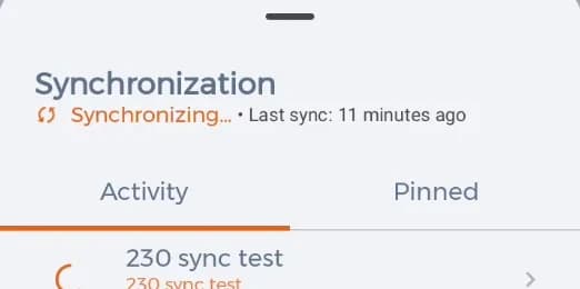 The sync panel with download progress and the time of the last run.