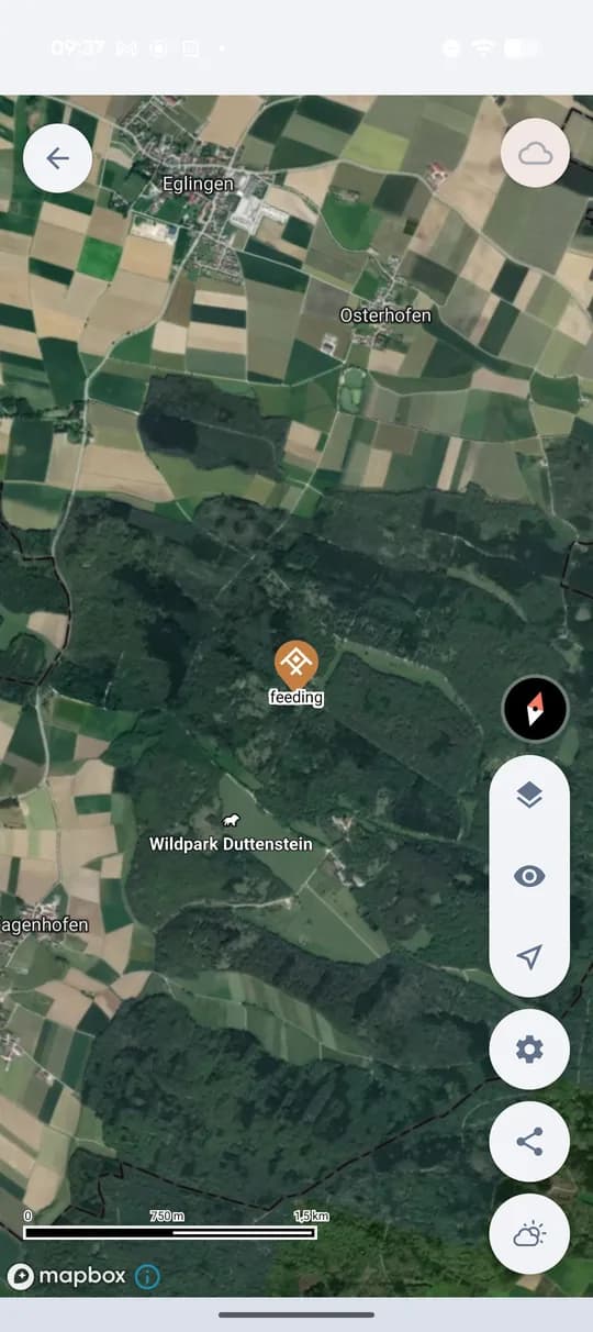 The saved point in the map of the ground.