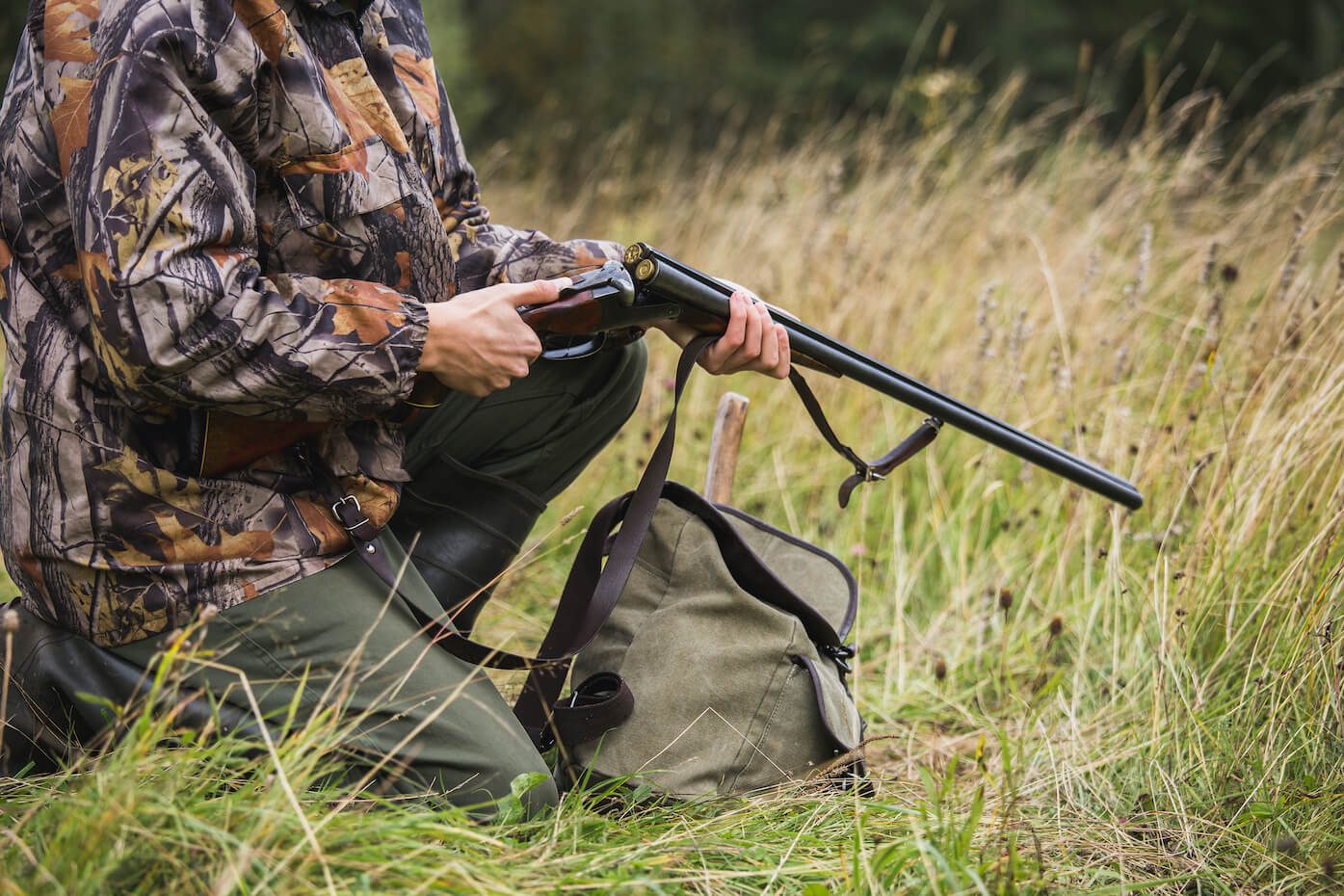 Hunter with a shotgun in tall grass during a hunt Hunter with a shotgun in tall grass during a hunt