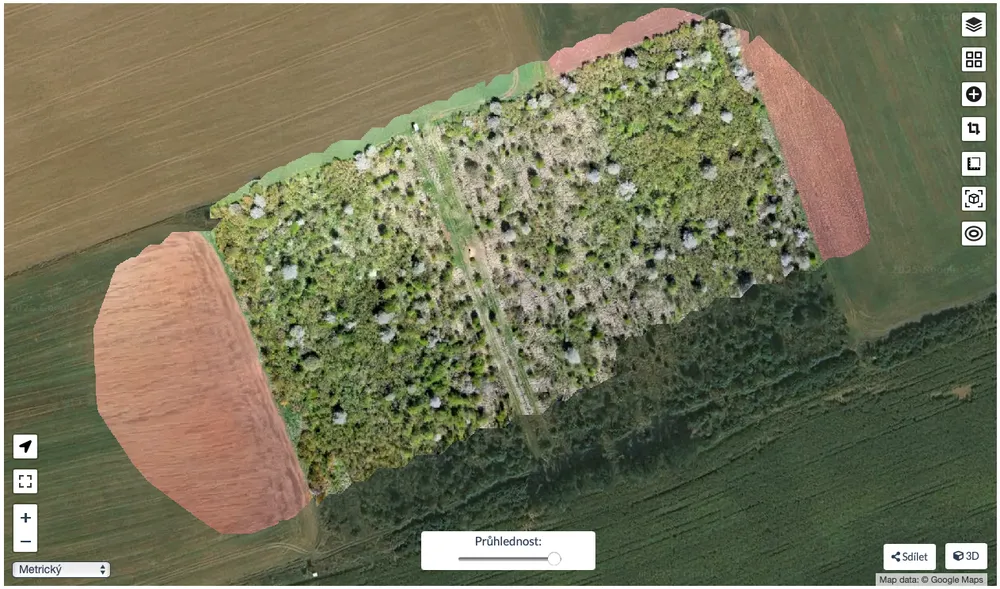 Drone orthophoto laid over the satellite map