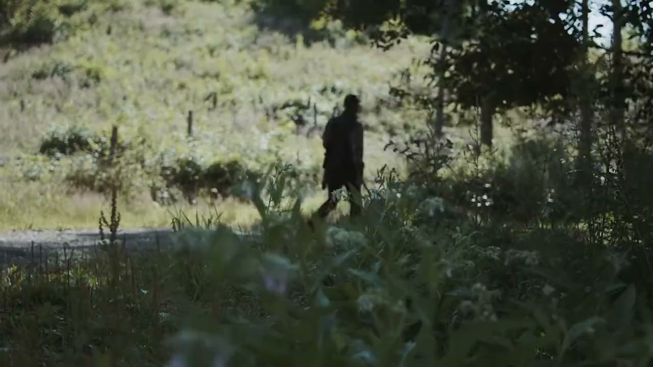 Hunter with a hunting dog on a forest path in morning light – HUNTERRA app intro video Hunter with a hunting dog on a forest path in morning light – HUNTERRA app intro video